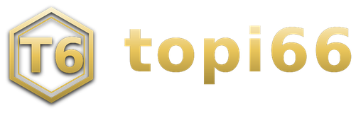 topi66 logo